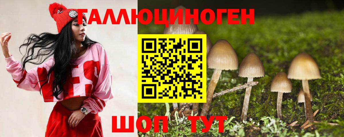 Псилоцибиновые грибы ЛСД Богородск